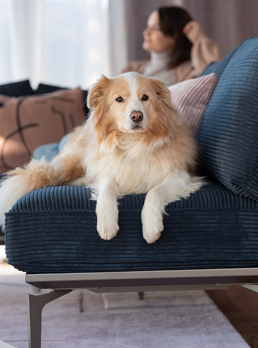 Leichter Aufbau und strapazierbare Stoffe - das ADA Mindful Living Draba Sofa ist perfekt, für Hunde und Katzenebesitzer, die ein Sofa für Haustiere suchen